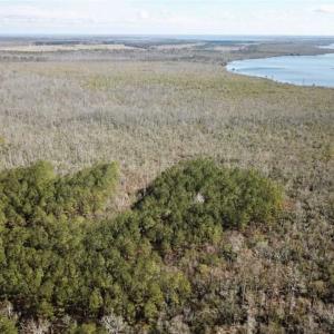Photo of SOLD!!  220 Acres of Hunting Land for Sale in Tyrrell County NC!