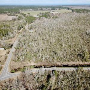 Photo of SOLD!!  220 Acres of Hunting Land for Sale in Tyrrell County NC!