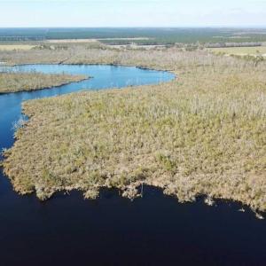 Photo of SOLD!!  220 Acres of Hunting Land for Sale in Tyrrell County NC!