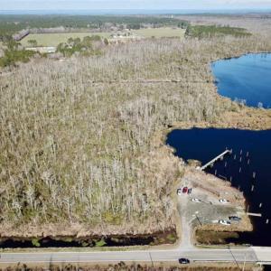 Photo of SOLD!!  220 Acres of Hunting Land for Sale in Tyrrell County NC!