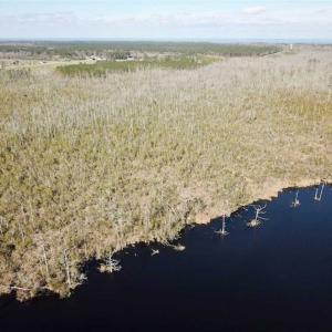 Photo of SOLD!!  220 Acres of Hunting Land for Sale in Tyrrell County NC!