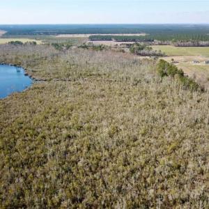Photo of SOLD!!  220 Acres of Hunting Land for Sale in Tyrrell County NC!