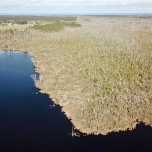 Photo of SOLD!!  220 Acres of Hunting Land for Sale in Tyrrell County NC!