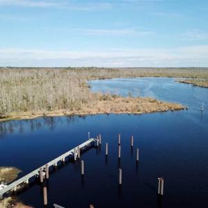 Photo of SOLD!!  220 Acres of Hunting Land for Sale in Tyrrell County NC!