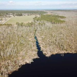 Photo of SOLD!!  220 Acres of Hunting Land for Sale in Tyrrell County NC!
