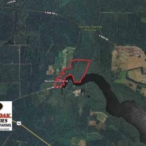 Photo of SOLD!!  220 Acres of Hunting Land for Sale in Tyrrell County NC!
