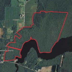Photo of SOLD!!  220 Acres of Hunting Land for Sale in Tyrrell County NC!