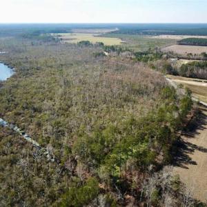 Photo of SOLD!!  220 Acres of Hunting Land for Sale in Tyrrell County NC!