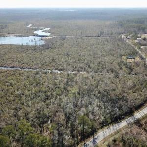Photo of SOLD!!  220 Acres of Hunting Land for Sale in Tyrrell County NC!