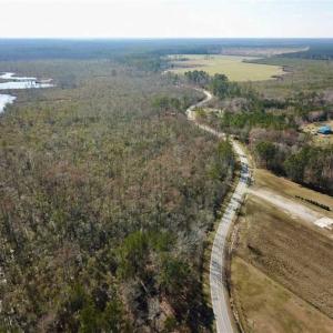 Photo of SOLD!!  220 Acres of Hunting Land for Sale in Tyrrell County NC!