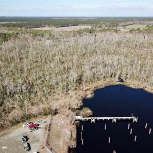 Photo of SOLD!!  220 Acres of Hunting Land for Sale in Tyrrell County NC!