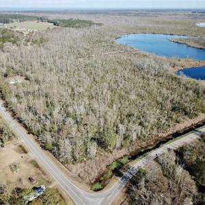 Photo of SOLD!!  220 Acres of Hunting Land for Sale in Tyrrell County NC!