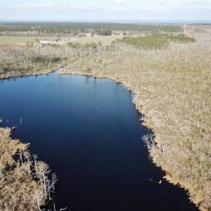 Photo of SOLD!!  220 Acres of Hunting Land for Sale in Tyrrell County NC!