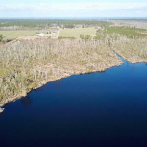 Photo of SOLD!!  220 Acres of Hunting Land for Sale in Tyrrell County NC!