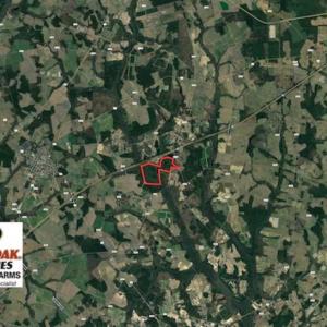 Photo of REDUCED! 256 Acres of Timber and Hunting Land For Sale in Robeson County NC!