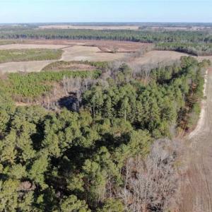 Photo of REDUCED! 256 Acres of Timber and Hunting Land For Sale in Robeson County NC!