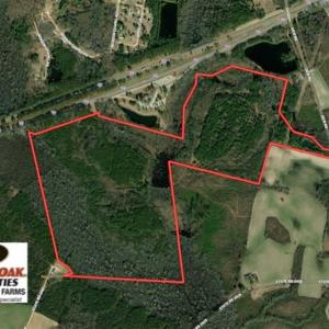 Photo of REDUCED! 256 Acres of Timber and Hunting Land For Sale in Robeson County NC!