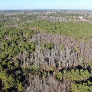 Photo of REDUCED! 256 Acres of Timber and Hunting Land For Sale in Robeson County NC!