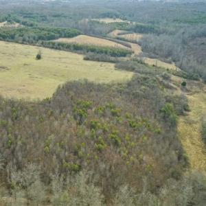 Photo of SOLD!!  46 Acres of Farm and Hunting Land for Sale in Stokes County NC!