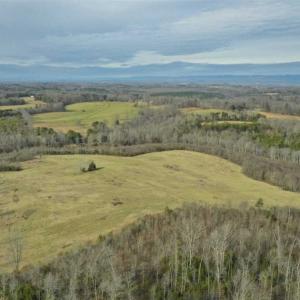 Photo of SOLD!!  46 Acres of Farm and Hunting Land for Sale in Stokes County NC!