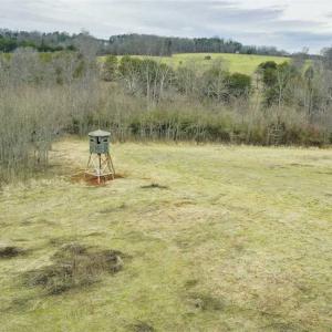 Photo of SOLD!!  46 Acres of Farm and Hunting Land for Sale in Stokes County NC!