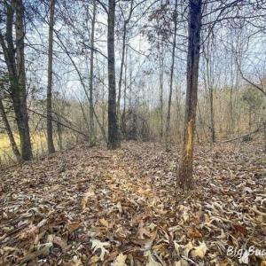 Photo of SOLD!!  46 Acres of Farm and Hunting Land for Sale in Stokes County NC!