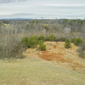 Photo of SOLD!!  46 Acres of Farm and Hunting Land for Sale in Stokes County NC!