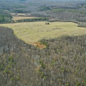 Photo of SOLD!!  46 Acres of Farm and Hunting Land for Sale in Stokes County NC!