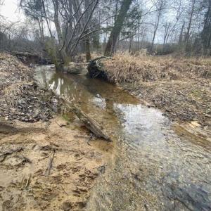 Photo of SOLD!!  46 Acres of Farm and Hunting Land for Sale in Stokes County NC!