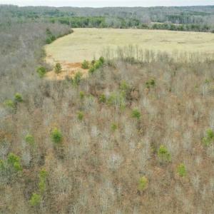 Photo of SOLD!!  46 Acres of Farm and Hunting Land for Sale in Stokes County NC!