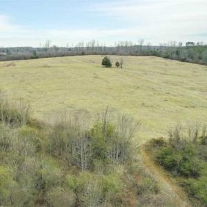 Photo of SOLD!!  46 Acres of Farm and Hunting Land for Sale in Stokes County NC!