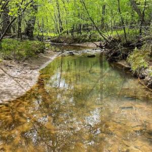 Photo of SOLD!!  46 Acres of Farm and Hunting Land for Sale in Stokes County NC!