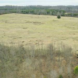 Photo of SOLD!!  46 Acres of Farm and Hunting Land for Sale in Stokes County NC!