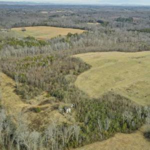Photo of SOLD!!  46 Acres of Farm and Hunting Land for Sale in Stokes County NC!
