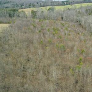 Photo of SOLD!!  46 Acres of Farm and Hunting Land for Sale in Stokes County NC!