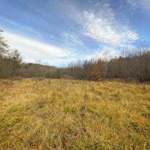 Photo of SOLD!!  46 Acres of Farm and Hunting Land for Sale in Stokes County NC!