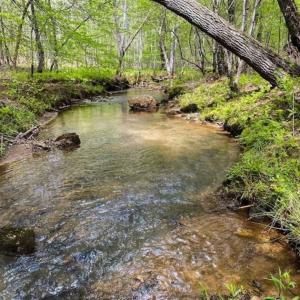 Photo of SOLD!!  46 Acres of Farm and Hunting Land for Sale in Stokes County NC!