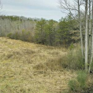 Photo of SOLD!!  46 Acres of Farm and Hunting Land for Sale in Stokes County NC!