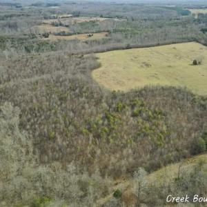 Photo of SOLD!!  46 Acres of Farm and Hunting Land for Sale in Stokes County NC!