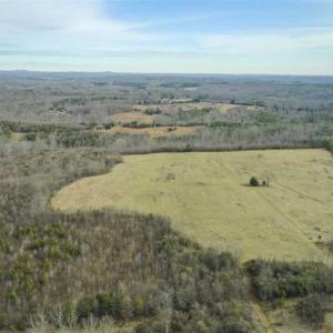 Photo of SOLD!!  46 Acres of Farm and Hunting Land for Sale in Stokes County NC!