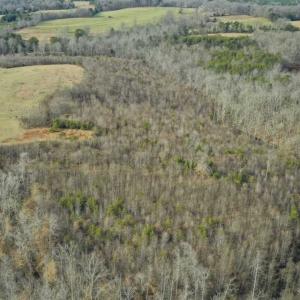 Photo of SOLD!!  46 Acres of Farm and Hunting Land for Sale in Stokes County NC!