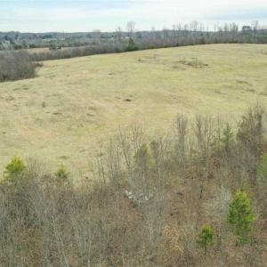 Photo of SOLD!!  46 Acres of Farm and Hunting Land for Sale in Stokes County NC!