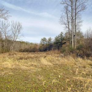 Photo of SOLD!!  46 Acres of Farm and Hunting Land for Sale in Stokes County NC!