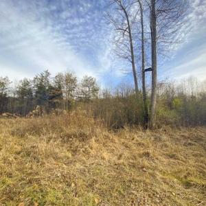 Photo of SOLD!!  46 Acres of Farm and Hunting Land for Sale in Stokes County NC!