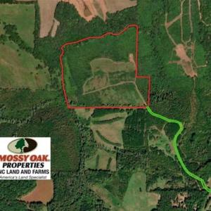 Photo of SOLD!!  46 Acres of Farm and Hunting Land for Sale in Stokes County NC!