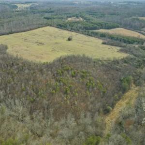 Photo of SOLD!!  46 Acres of Farm and Hunting Land for Sale in Stokes County NC!