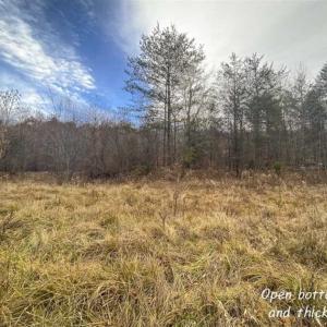 Photo of SOLD!!  46 Acres of Farm and Hunting Land for Sale in Stokes County NC!