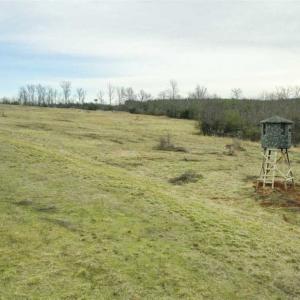Photo of SOLD!!  46 Acres of Farm and Hunting Land for Sale in Stokes County NC!