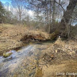 Photo of SOLD!!  46 Acres of Farm and Hunting Land for Sale in Stokes County NC!