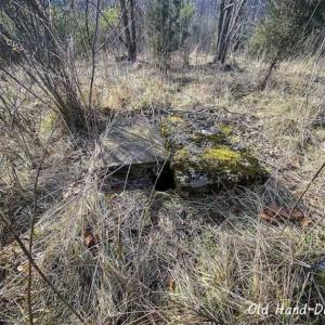 Photo of SOLD!!  46 Acres of Farm and Hunting Land for Sale in Stokes County NC!